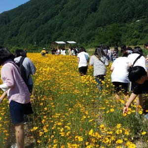 back_img_12