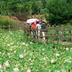back_img_15