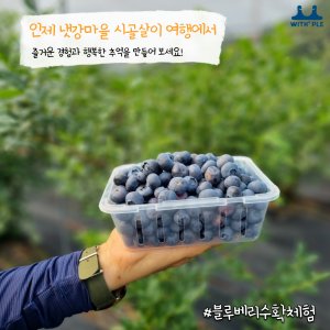 back_img_10