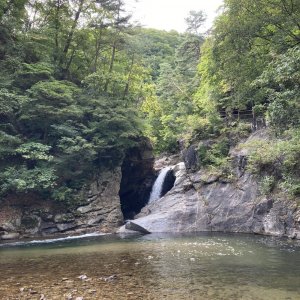 back_img_28