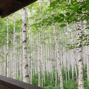 back_img_44