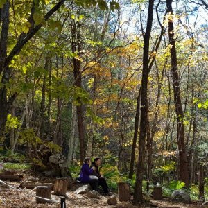 back_img_21