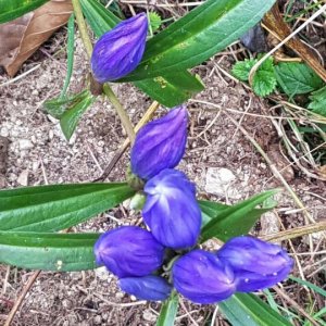 back_img_25