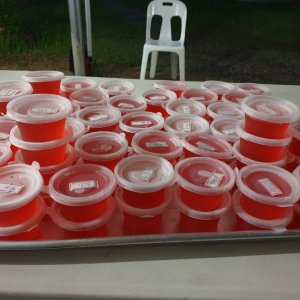 back_img_43