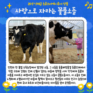 back_img_4