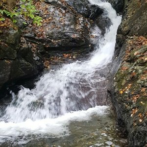 back_img_45