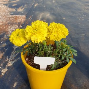 back_img_24