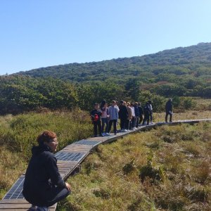 back_img_14