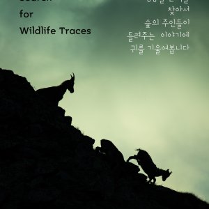 back_img_5