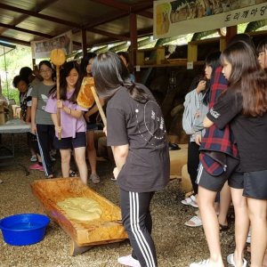 back_img_5
