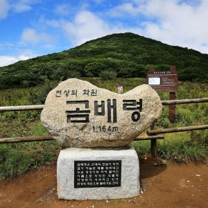 back_img_14