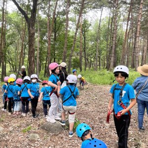 back_img_43
