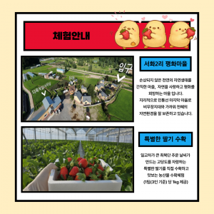 back_img_30