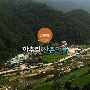 back_img_44