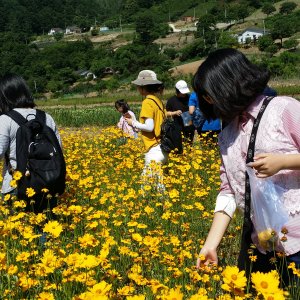 back_img_29