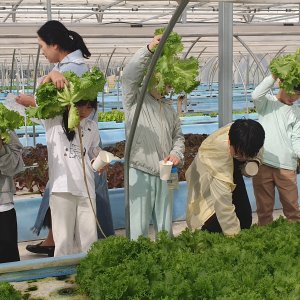 back_img_26