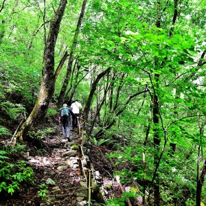 back_img_21