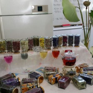 back_img_15