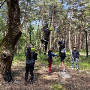 back_img_33
