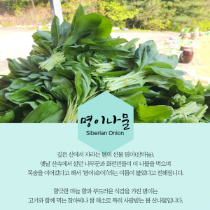 back_img_1
