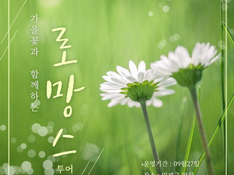 <가을꽃과 함께하는 로망스 투어> 🌸🍇