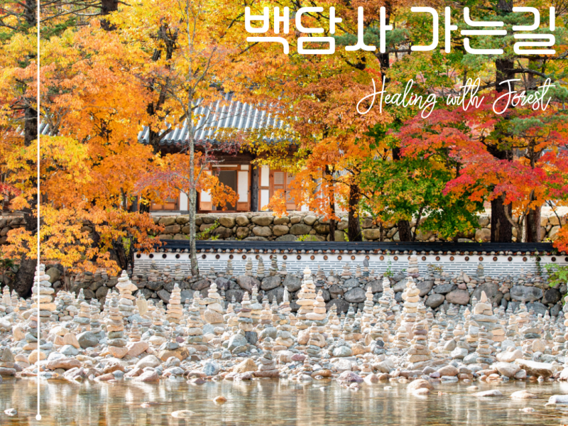 인제체험지원상품<백담사가는길_당일형>