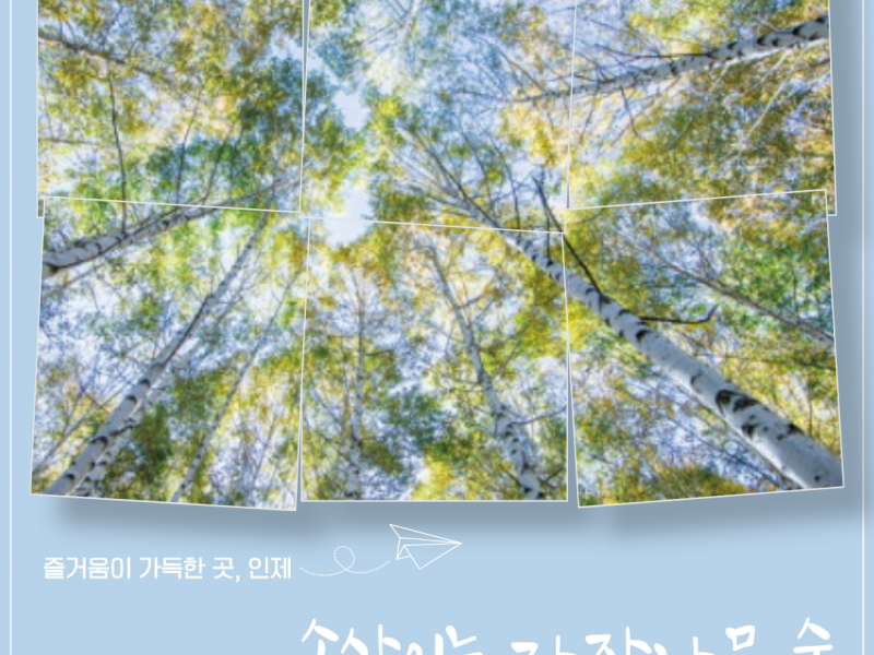 인제체험지원상품<속삭이는 자작나무 숲_당일형>