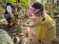 25년 인제군 농촌크리에이투어<메론에 폭~싹 빠졌수다>