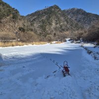 ❄️ 26년 체험지원상품 <하얀숲, 하얀겨울> 2회차 현장!