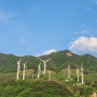 5월 사업단 정기회의<in 황태마을>