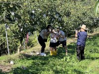 ✨ 25년 인제군 농촌크리에이투어 <배배꽃소풍> 후기 ✨🌼