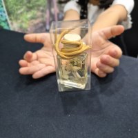 8월 박람회 체험 및 홍보부스 운영