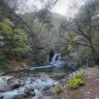 25년 4월 사업단 정기회의<in 마의태자마을>