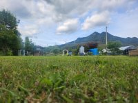 24년 5월 사업단 정기회의