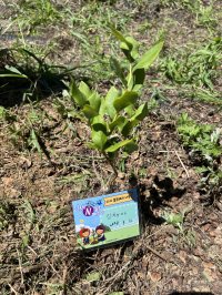 2025 인제N블루페스타