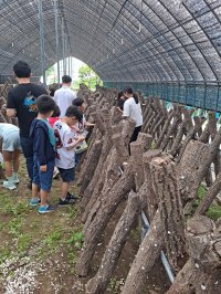 2023.6.29 인제닮은인재 프로젝트 프로그램