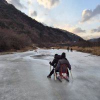 ❄️ 26년 체험지원상품 <하얀숲, 하얀겨울> 1회차 현장!