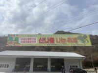 2023.4.15 웰빙700산골마을 정자리 산나물 나눔 축제