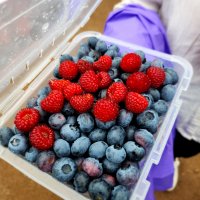 25년 인제농촌크리에이투어 <비밀의숲>