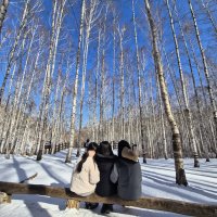 ❄️ 26년 인제군 체험지원상품 〈하얀숲, 하얀겨울〉 4회차 후기